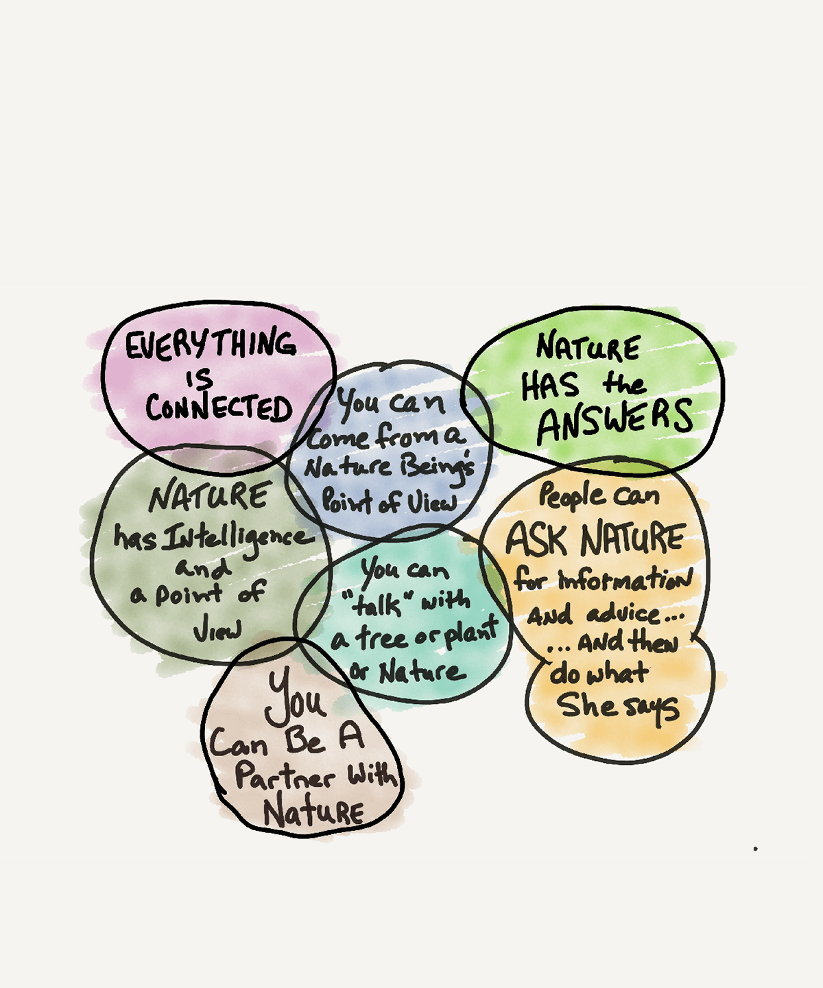 Partner With Nature What do we mean by the BioBalia network of ideas?